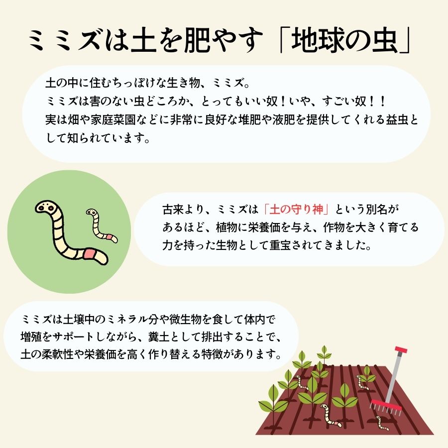 �ڻ��� �ߥߥ��Τ��ȡ���1L������ȭ�դ����ھ�������