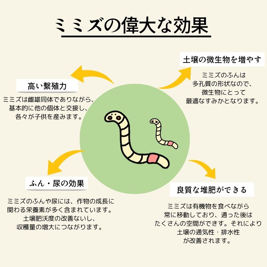 �ڻ��� �ߥߥ��Τ��ȡ���1L������ȭ�դ����ھ�������