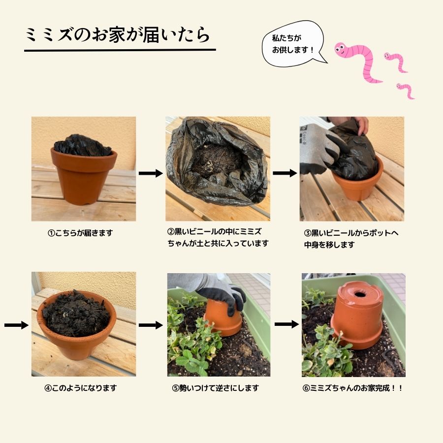 �ڻ��� �ߥߥ��Τ��ȡ���1L������ȭ�դ����ھ�������