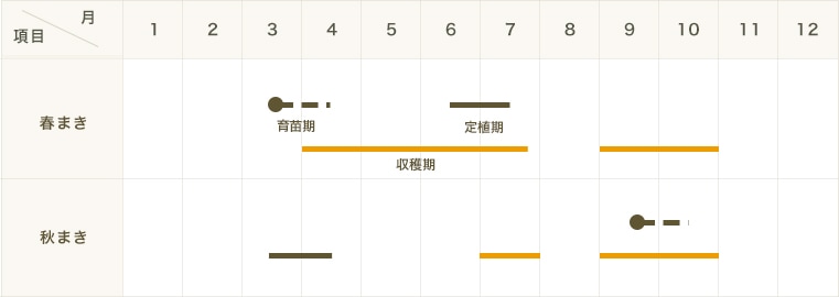 �ڤƤ��ޤ��ġ� ���ե˥顡 4Ϣ��ѥå� ���պ��ġ�