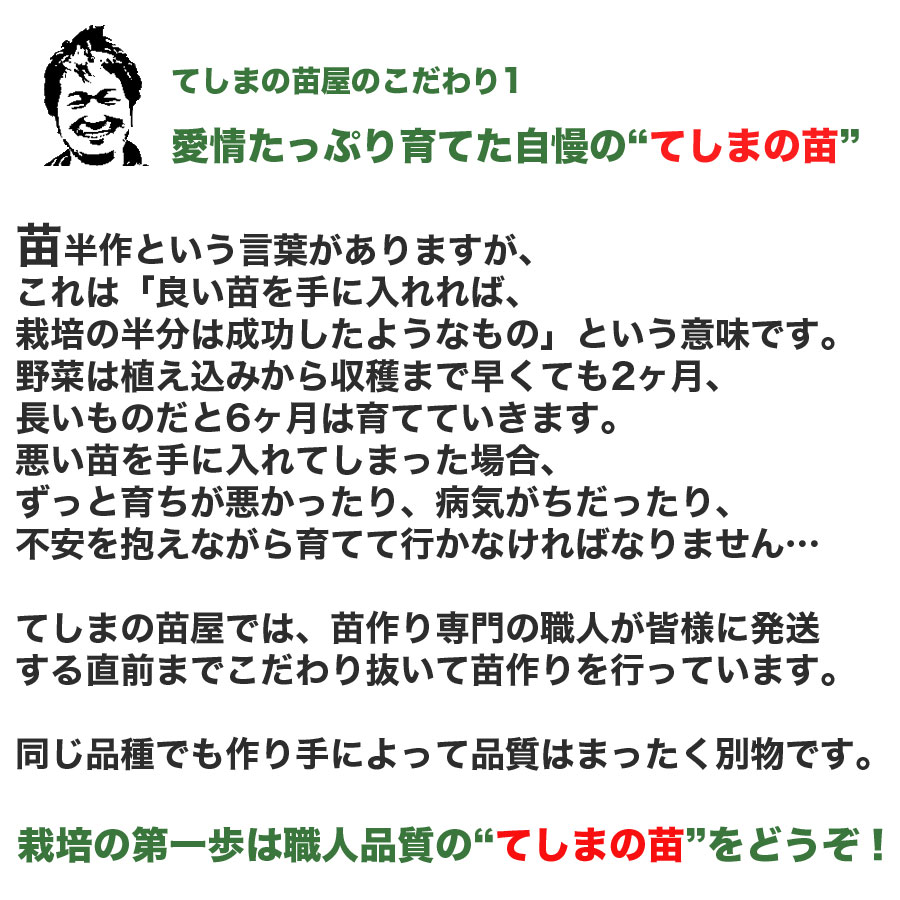 �ڤƤ��ޤ��ġۥԡ��ޥ��ġ������ԡ��������ġ�9����ݥå�