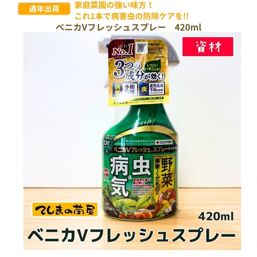 ڤƤޤġ ڻ۽ͧر ٥˥Vեå她ץ졼 420ml ݺ