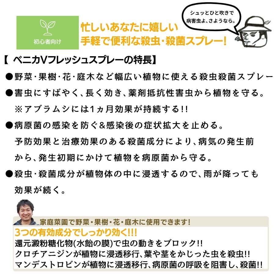 ڤƤޤġ ڻ۽ͧر ٥˥Vեå她ץ졼 420ml ݺ