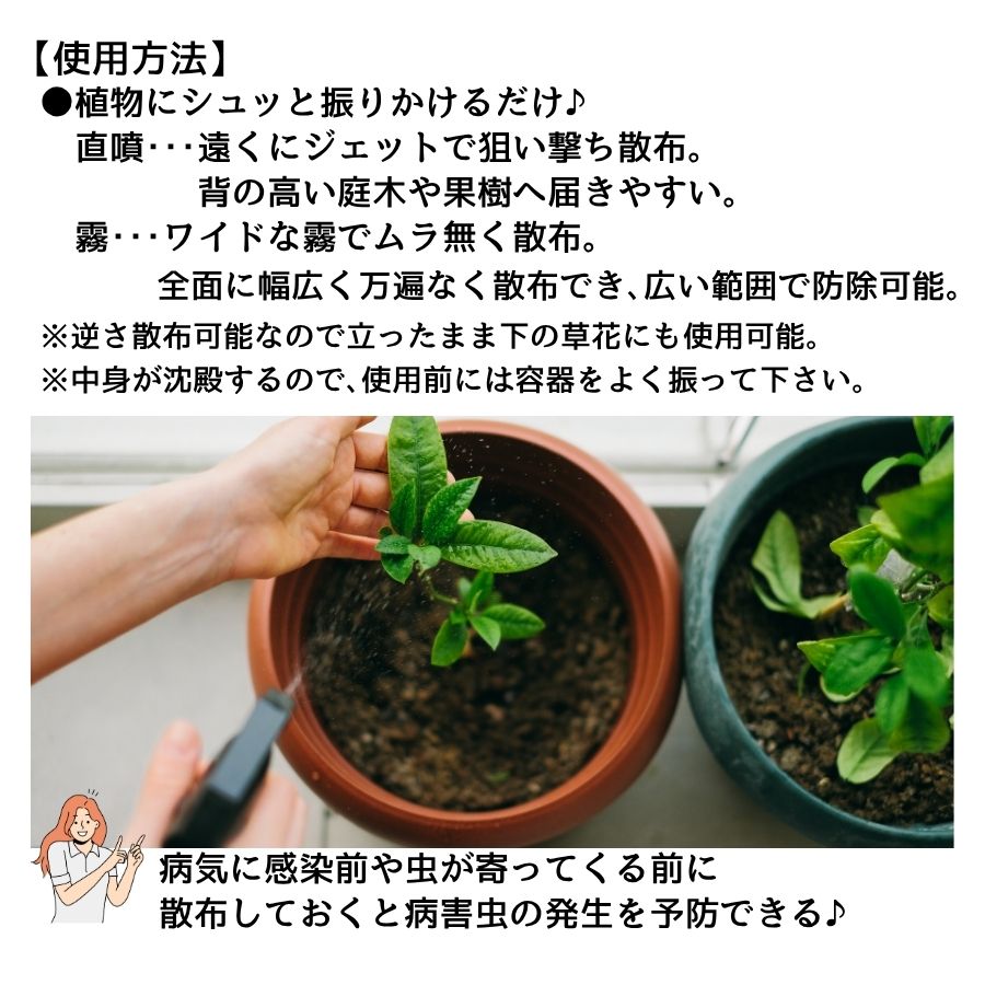 ڤƤޤġ ڻ۽ͧر ٥˥Vեå她ץ졼 420ml ݺ