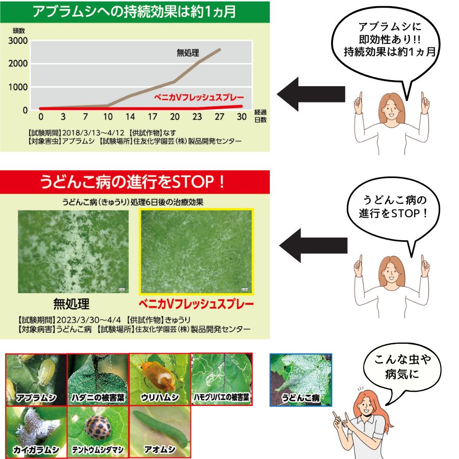 ڤƤޤġ ڻ۽ͧر ٥˥Vեå她ץ졼 420ml ݺ