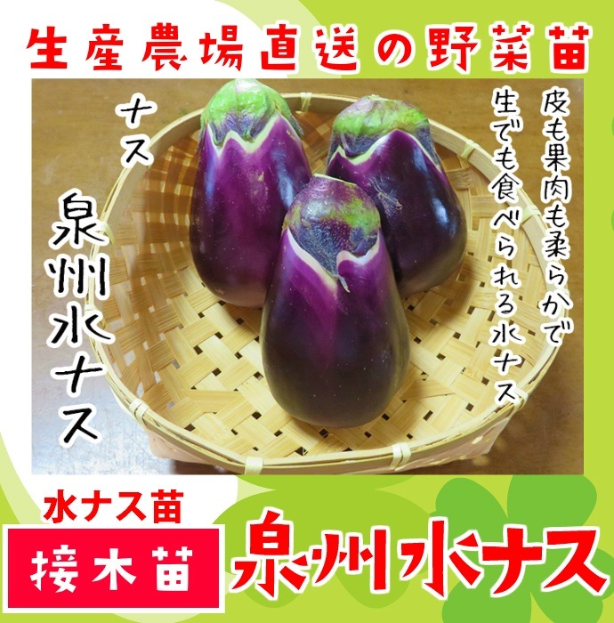 �ڤƤ��ޤ��ġ� �ʥ��� ������ʥ� �Ǻ������� 9cm�ݥå� ����� ���� �� ���� �ڿ͵���