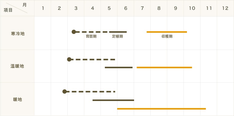 �ڤƤ��ޤ��ġۡ��ȥޥ��ġ�����ޥ�ĥ����Ρ��ꥼ��С��Ǻ������ġ�9cm�ݥåȡ�