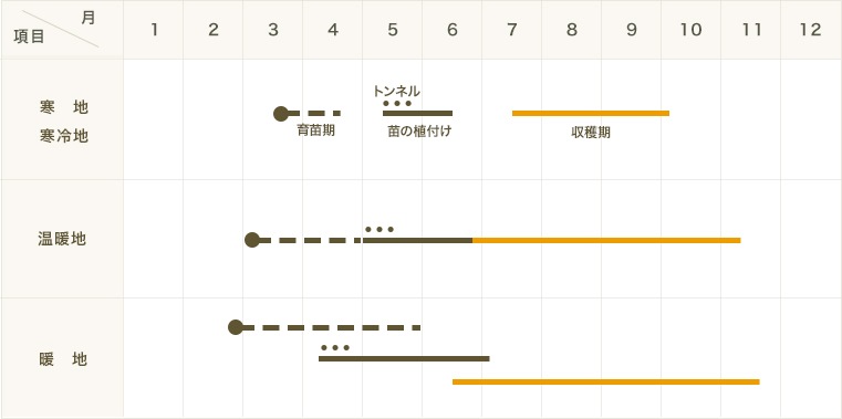 ڤƤޤġۡߥ˥ȥޥġץ󥻥9cmݥåȡȥޥȡ