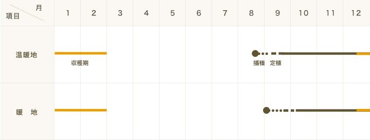 �ڤƤ��ޤ��ġ� �ϥ������� �߷�90  4������ѥå����պ���