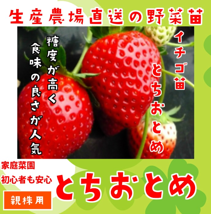 1_000000000980.jpg?1678209904