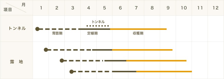 �ڤƤ��ޤ��ġۡ��ʥ��ġ��Ȥ��ƥȥ륳���Ǻ������ġ�9cm�ݥåȡ�