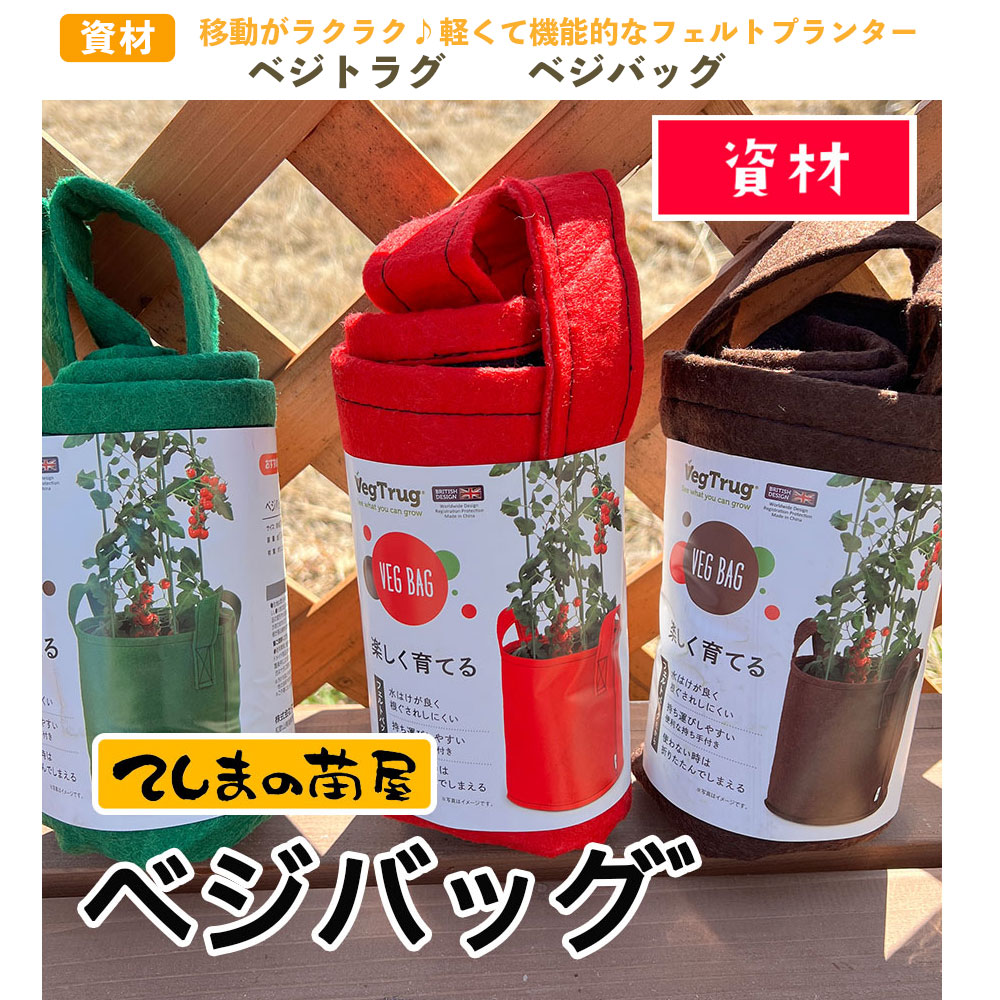 �ڤƤ��ޤ��Ĳ� �ۡڻ��� �٥��Хå����ե���ȥץ�󥿡����٥��ȥ饰