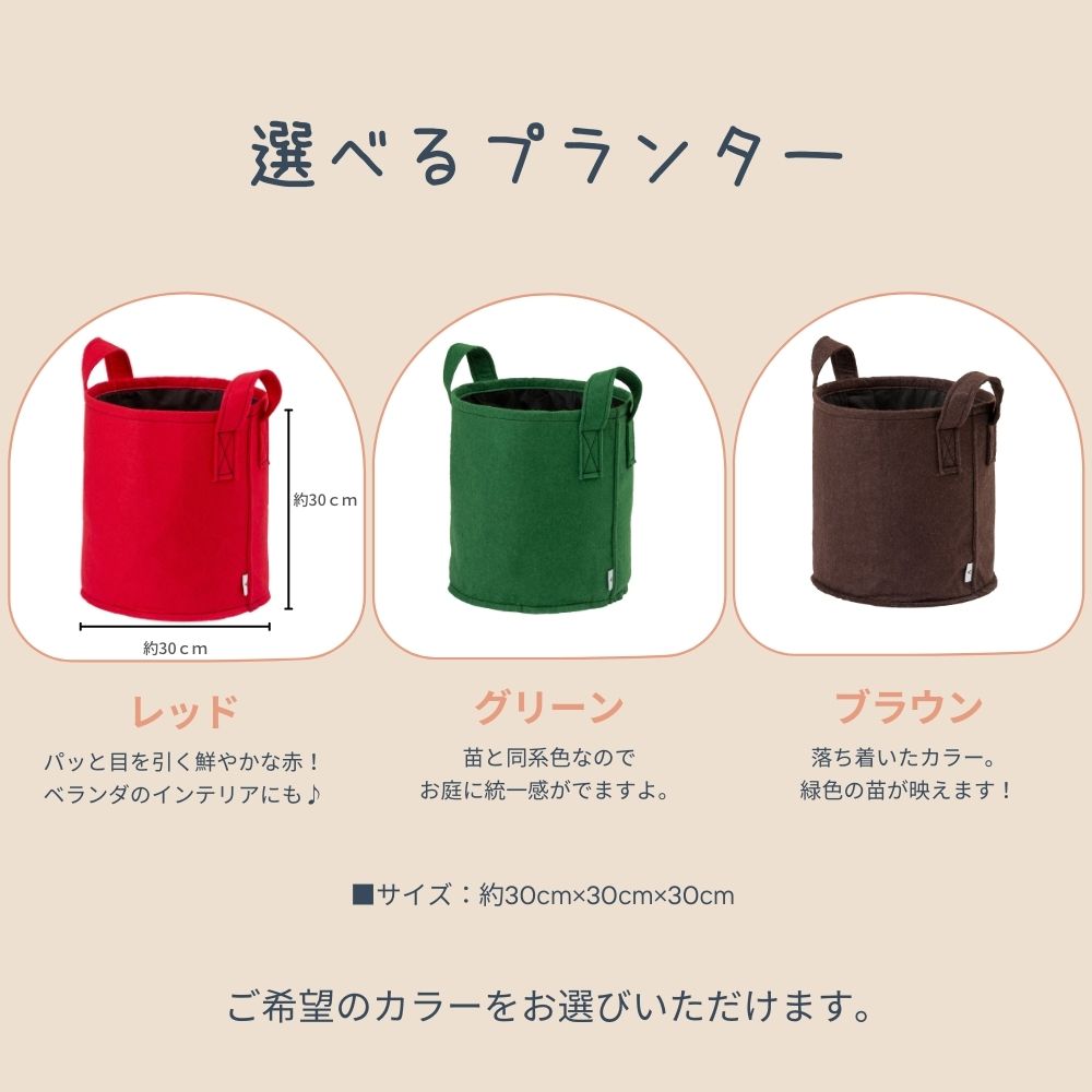 �ڤƤ��ޤ��Ĳ� �ۡڻ��� �٥��Хå����ե���ȥץ�󥿡����٥��ȥ饰