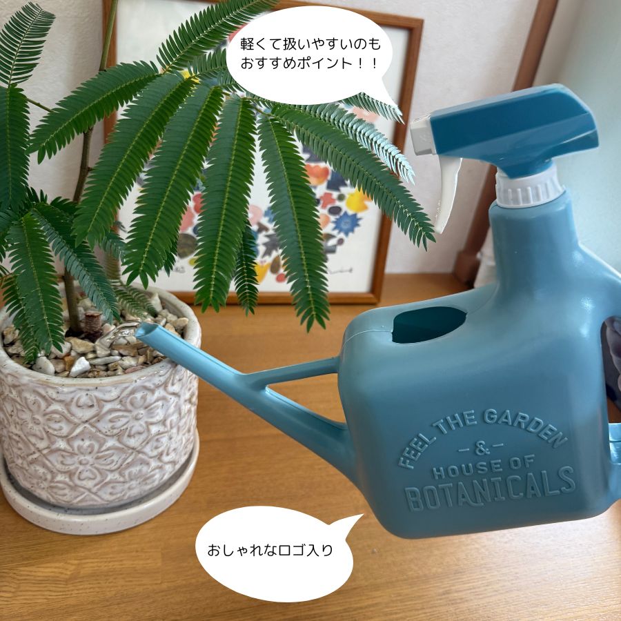 �ڻ���  ���ץ졼���ץ�󥯥顼��1.6L�������祦��