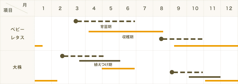 ڤƤޤġ ٥ӡ꡼ ǥ쥿ߥå  9cmݥå     ڿ͵ պ ڿ͵