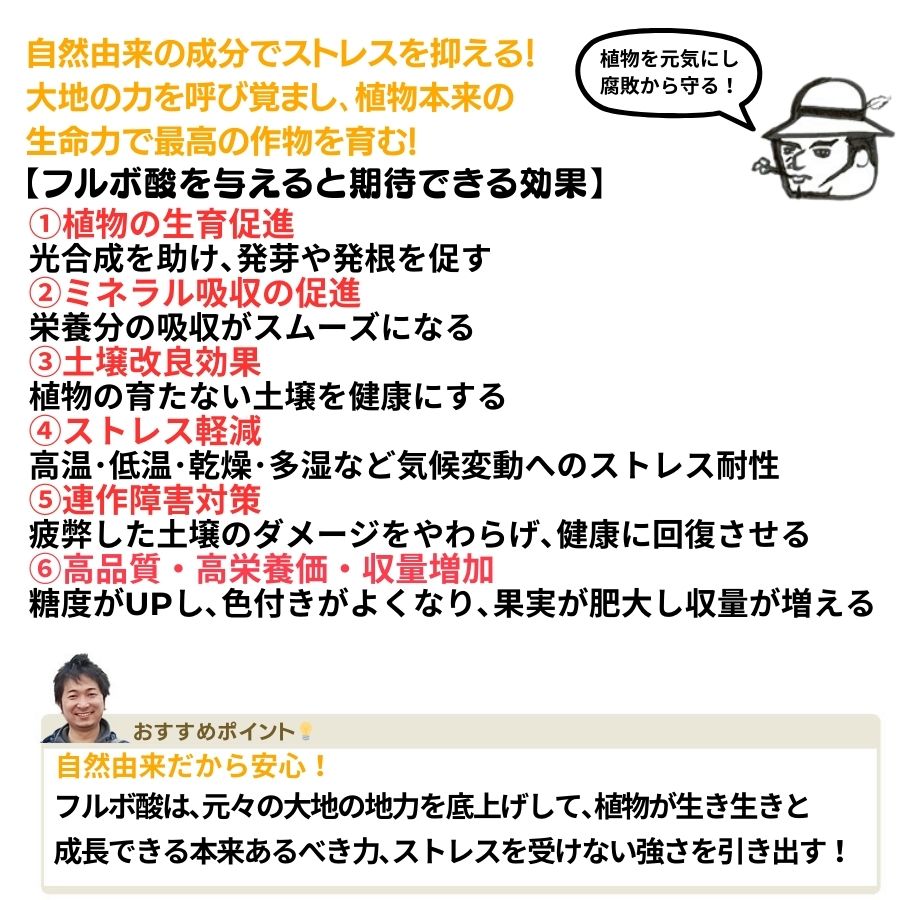 ڤƤޤλ  ƤޤΥեܻ1Lڡ̼֡տʪʪ