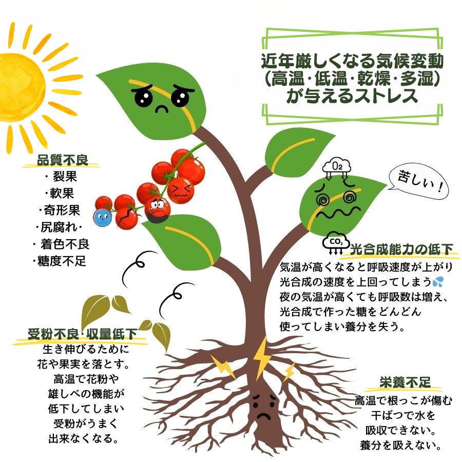 ڤƤޤλ  ƤޤΥեܻ1Lڡ̼֡տʪʪ