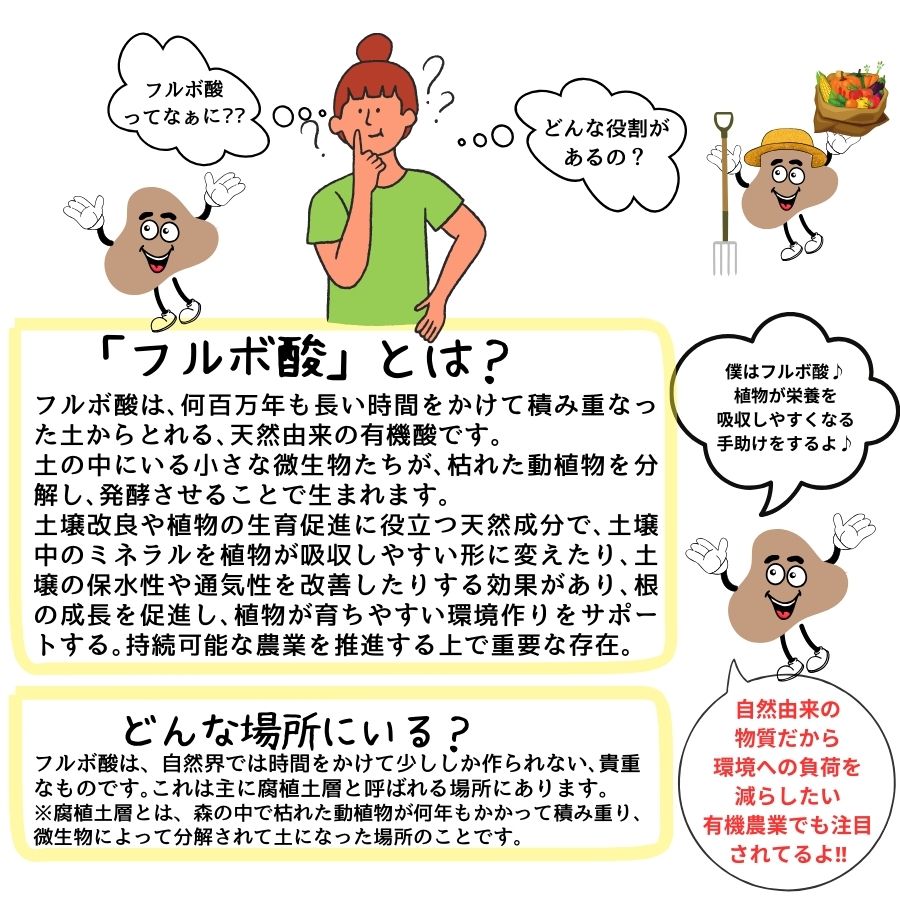 ڤƤޤλ  ƤޤΥեܻ1Lڡ̼֡տʪʪ