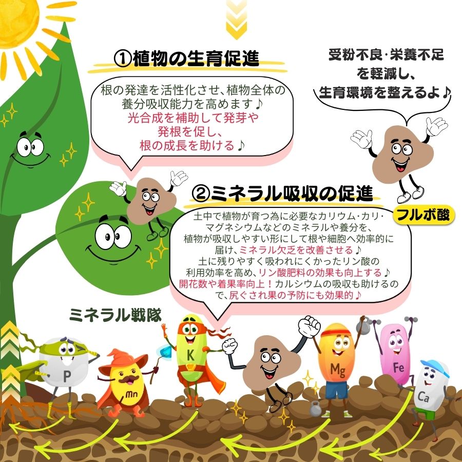 ڤƤޤλ  ƤޤΥեܻ1Lڡ̼֡տʪʪ