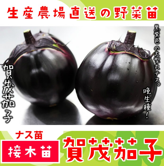 ڤƤޤġ  ݥʥ вػ Ǻ 9cmݥå     ڿ͵