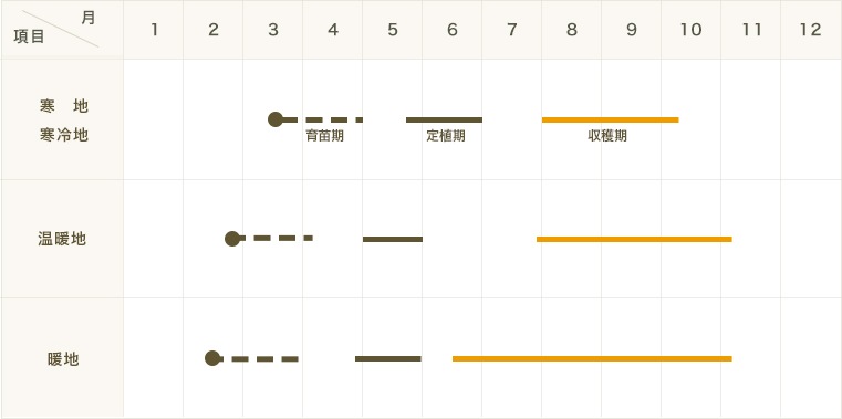 �ڤƤ��ޤ��ġۡ��ȥ����饷�ġ������Υĥᡡ�����ġ�9cm�ݥå�