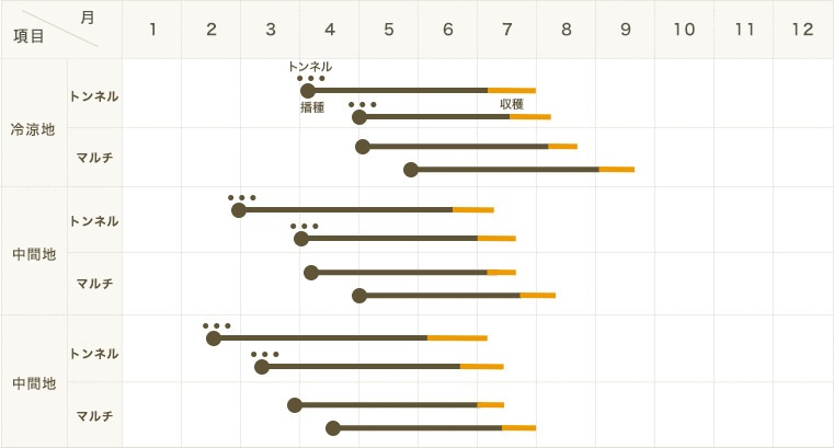 �ڤƤ��ޤ��ġ� �ȥ���������ġ��ۥ磻�ȥ��祳�� �������ġ� 9cm�ݥåȡ�1�ݥå�2�Ŀ����������