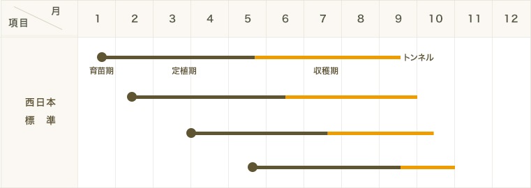 �ڤƤ��ޤ��ġۡ��ȥ����饷�ġ��֡��ȥ�����������������ġ�9cm�ݥå�