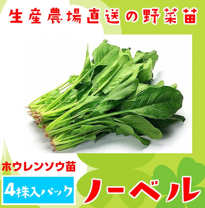 �ڤƤ��ޤ��ġۡ��ۥ���󥽥��ġ��Ρ��٥롡4������ѥå����պ���