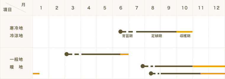 �ڤƤ��ޤ��ġ� ����٥���  ���ȥ�����  4������ѥå�  �պ��� �ڿ͵���