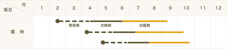 �ڤƤ��ޤ��ġۥߥ˥ȥޥ��ġ�����󥰥�ȥޥȡ�9����ݥåȡ��Ǻ�������