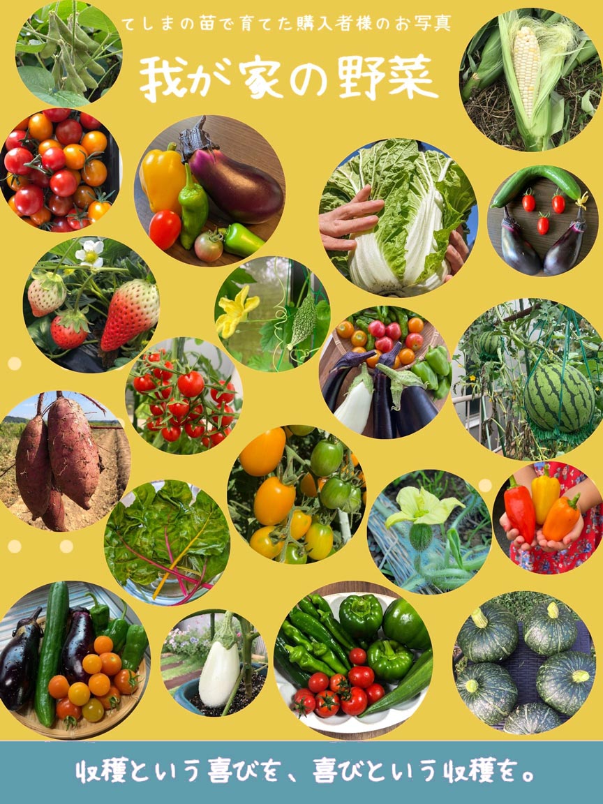 �ڤƤ��ޤ��ġۥߥ˥ȥޥ��ġ�����󥰥�ȥޥȡ�9����ݥåȡ��Ǻ�������