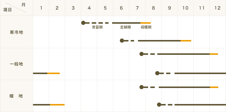 ڤƤޤġ ե ޥͥ  4ѥå ڿ͵