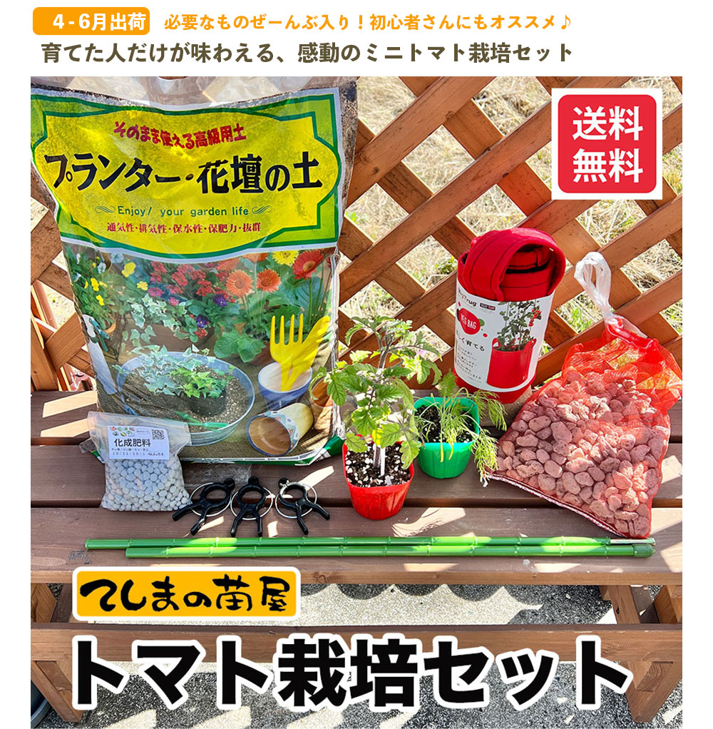 �ڤƤ��ޤ��ġۥߥ˥ȥޥȺ��ݥ��åȡ�������̵�����̳�ƻ�����������900�߲û��ˡ��Ǻ������ġ������ڱࡡ����� �鿴�Ԥ���ˤ⥪�����ᡪ