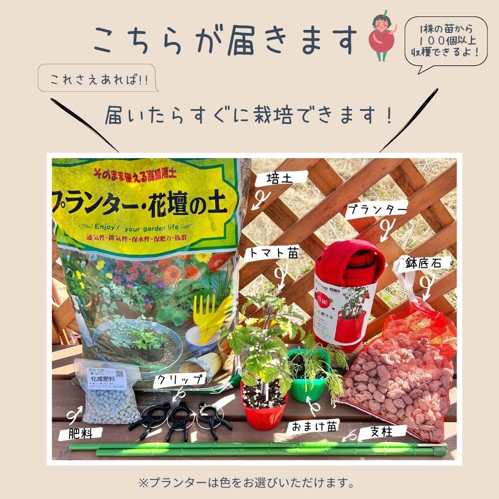 �ڤƤ��ޤ��ġۥߥ˥ȥޥȺ��ݥ��åȡ�������̵�����̳�ƻ�����������900�߲û��ˡ��Ǻ������ġ������ڱࡡ����� �鿴�Ԥ���ˤ⥪�����ᡪ