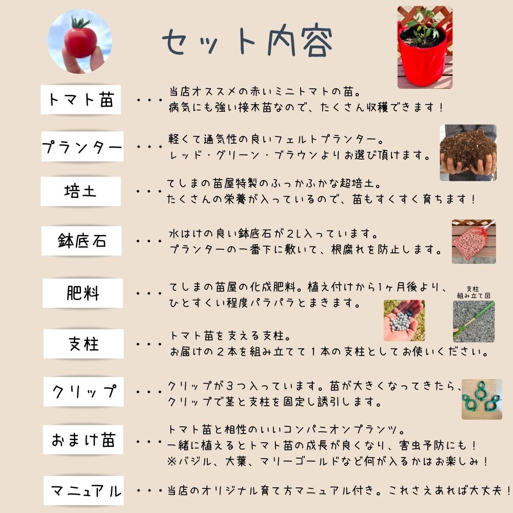 �ڤƤ��ޤ��ġۥߥ˥ȥޥȺ��ݥ��åȡ�������̵�����̳�ƻ�����������900�߲û��ˡ��Ǻ������ġ������ڱࡡ����� �鿴�Ԥ���ˤ⥪�����ᡪ