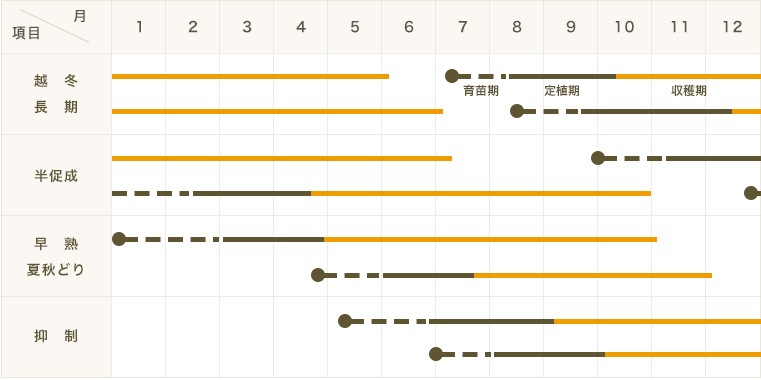 ڤƤޤġۥߥ˥ȥޥġ֥꡼顡9ݥåȡǺ