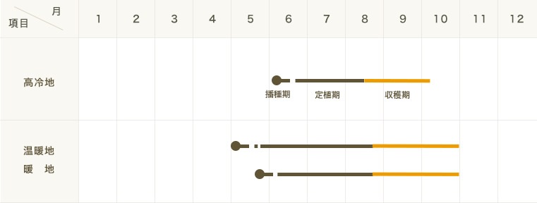 �ڤƤ��ޤ��ġ� �������ޥᡡ9cm�ݥå� ������