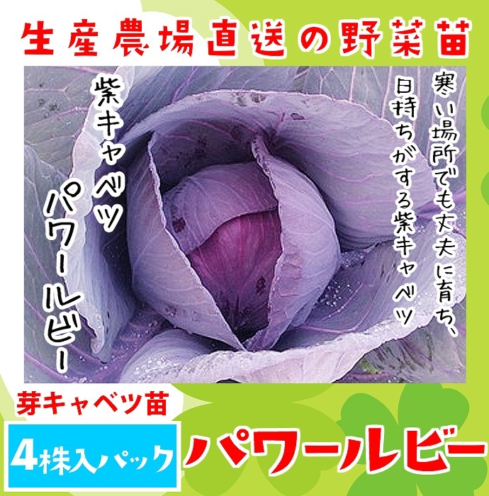 �ڤƤ��ޤ��ġ� �祭��٥���  �ѥ��ӡ� 4������ѥå� �պ��� �ڿ͵���