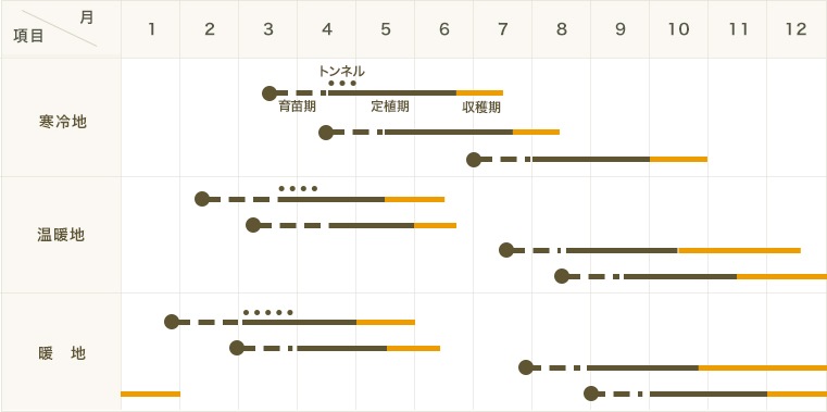 ڤƤޤġۡ٥ġȡ4ѥåպ