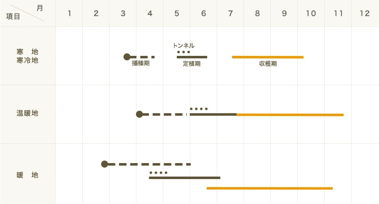 �ڤƤ��ޤ��ġۥߥ˥ȥޥ��ġ����祳���������Ǻ������ġ� 9cm�ݥå�