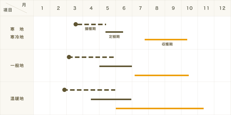 ڤƤޤġ ߥ˥ȥޥ ԥå饫ʥꥢ Ǻ 9cmݥå     ڿ͵