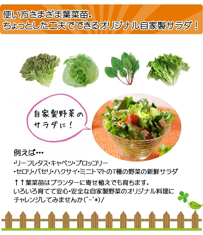 �ڤƤ��ޤ��ġ� �ߥ����� ��ˡ�� 4������ѥå� �պ��� �ڿ͵���