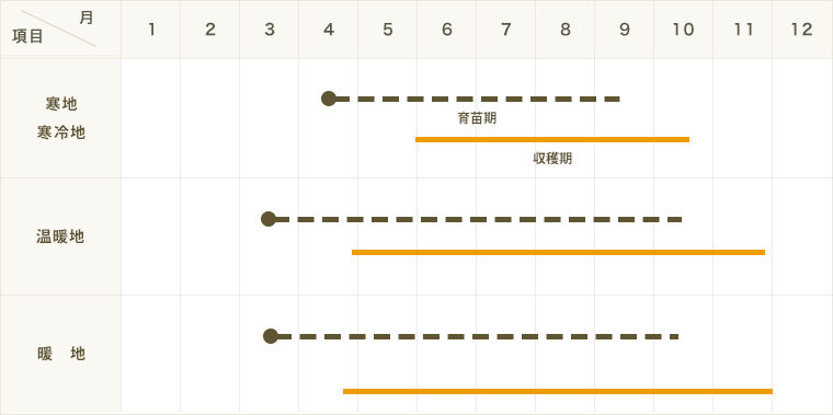 �ڤƤ��ޤ��ġ� �ߥ����� ��ˡ�� 4������ѥå� �պ��� �ڿ͵���