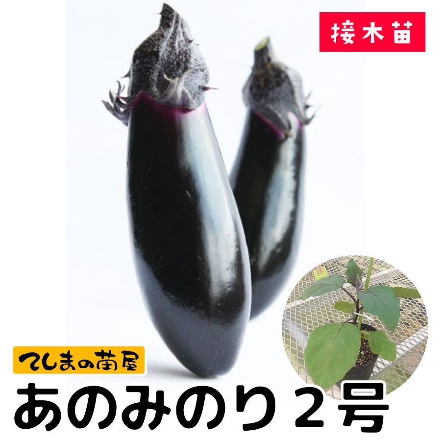 �ڤƤ��ޤ��ġۥʥ��ġ����ΤߤΤ�2�桡9����ݥåȡ��Ǻ�������