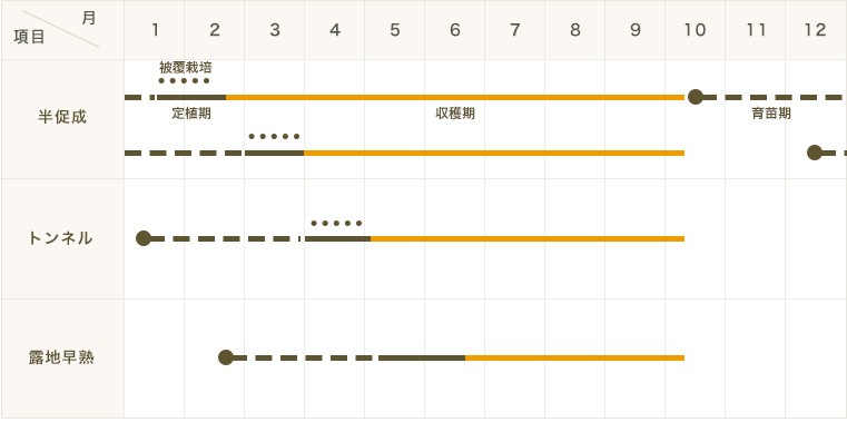 �ڤƤ��ޤ��ġۥʥ��ġ����ΤߤΤ�2�桡9����ݥåȡ��Ǻ�������