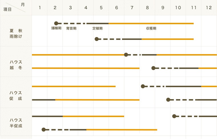 �ڤƤ��ޤ��ġۥߥ˥ȥޥ��ġ�TY�ۤ�ޤ롡�Ǻ������ġ� 9cm�ݥå�