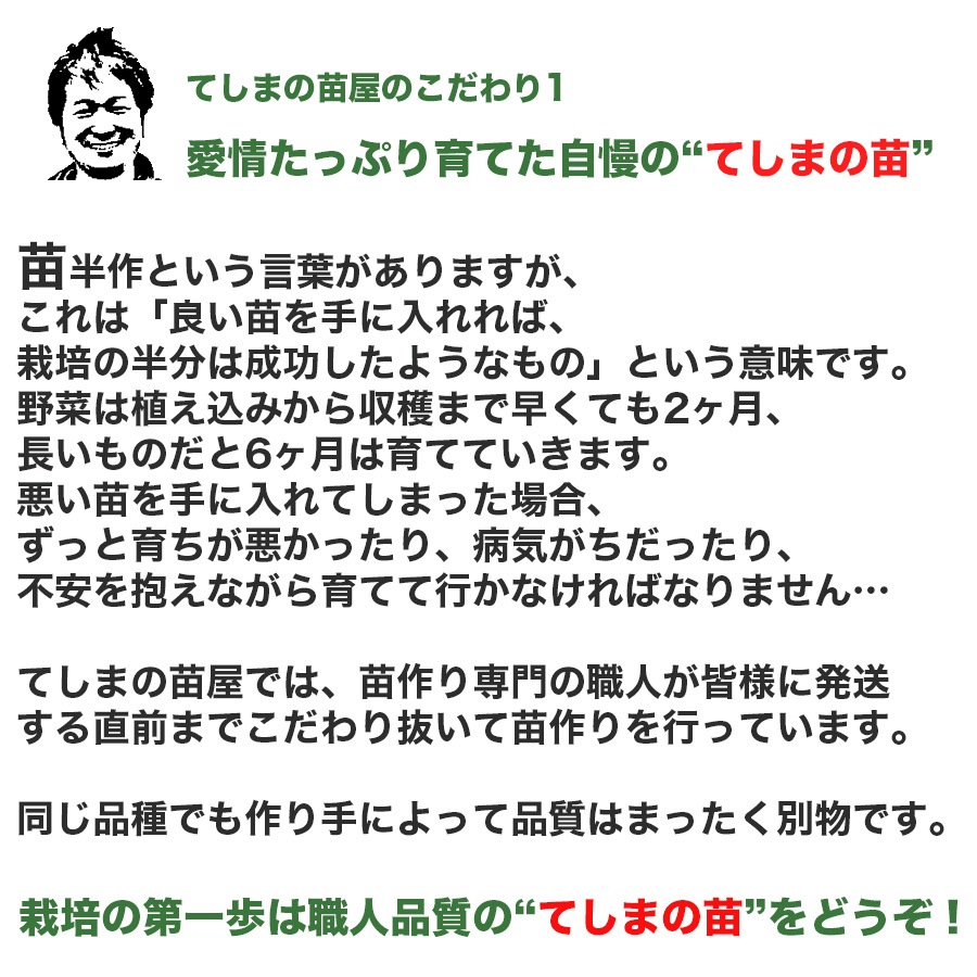 �ڤƤ��ޤ��ġۥߥ˥ȥޥ��ġ�TY�ۤ�ޤ롡�Ǻ������ġ� 9cm�ݥå�