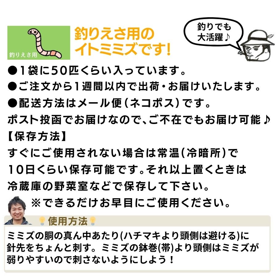 �ڻ��� ��ꤨ���ѡ���¡��ߤߤ�����50ɤ ������̵��