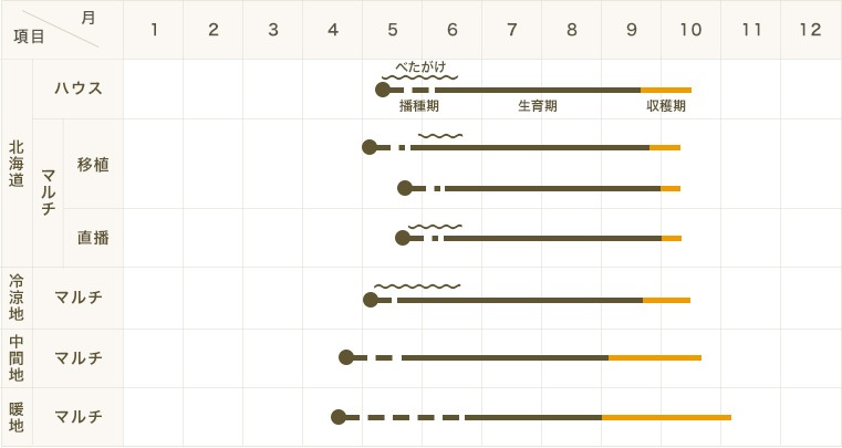 ڤƤޤġۡåġޤꡡġ9cmݥå