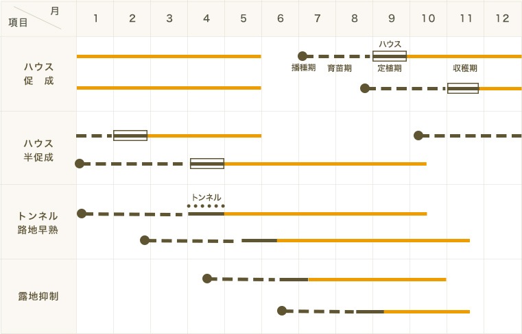 �ڤƤ��ޤ��ġ�Ĺ�ʥ��ġ�PC��ݡ��Ǻ������ġ� 9cm�ݥå�